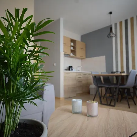 公寓 Elena 14 Vrnjačka Banja