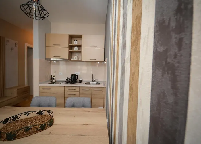 Elena 14 * Vrnjačka Banja